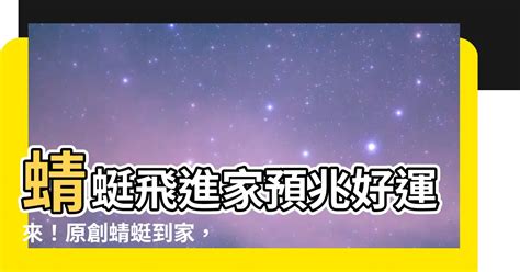 蜻蜓飛進店裡|【蜻蜓飛來店裡】蜻蜓飛來店裡，兆頭報喜！揭開神秘意義